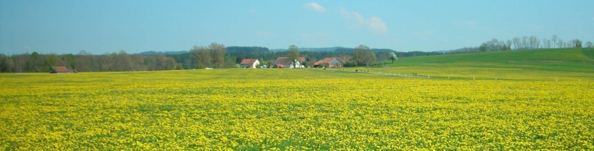 Schwäbischer Albverein | Ortsgruppe Leutkirch